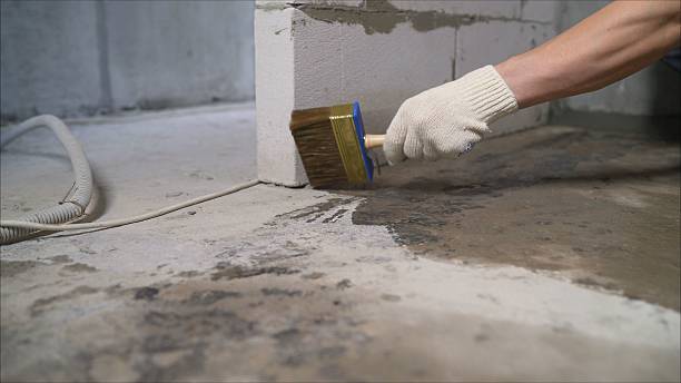 Top rated local Waterproofing specialists in Martinsville, VA